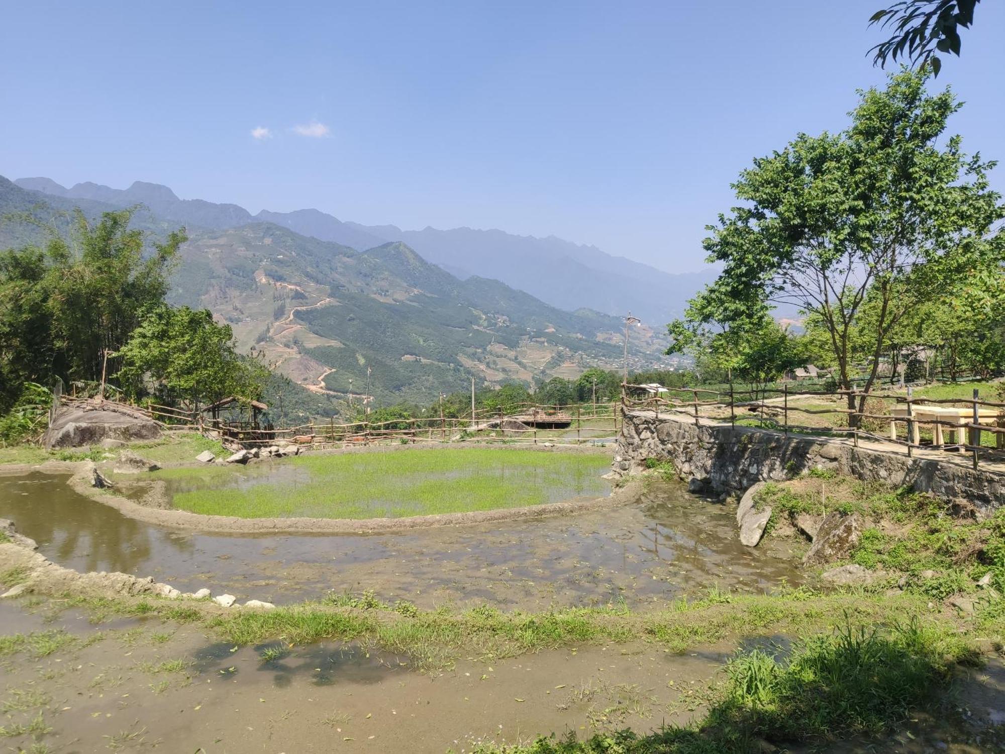 Khen Mong Nature Hotel Sa Pa Esterno foto